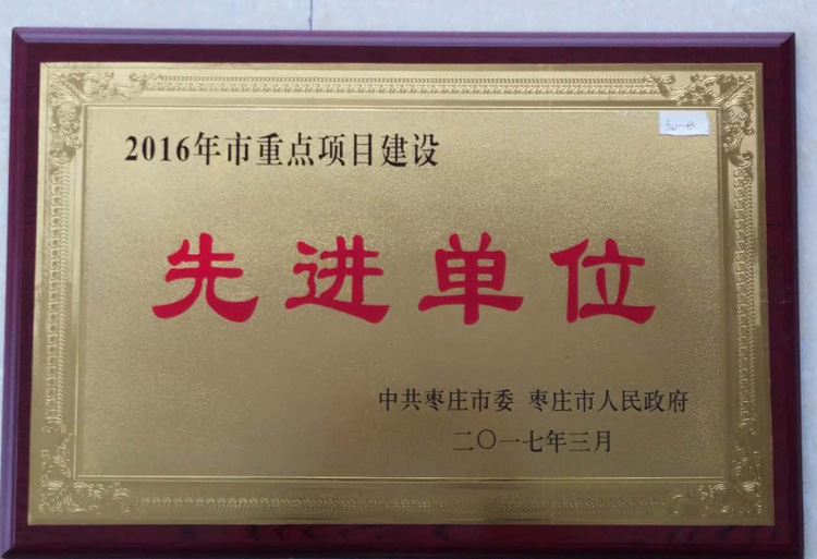 17-3-2016年度市重點項目建設先進單位.jpg